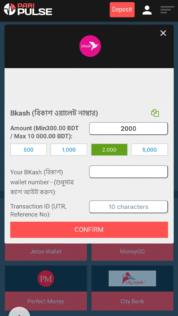 Fill in the required details to fund your PariPulse account.