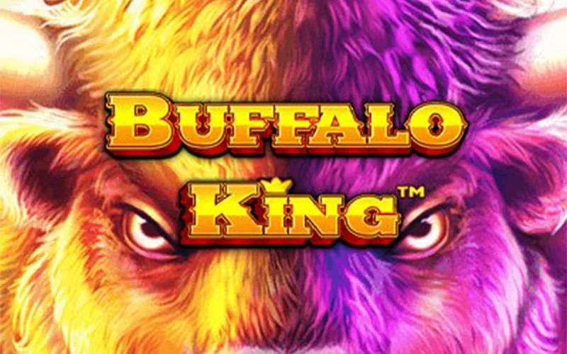 Win big with Buffalo King Megaways on PariPulse.